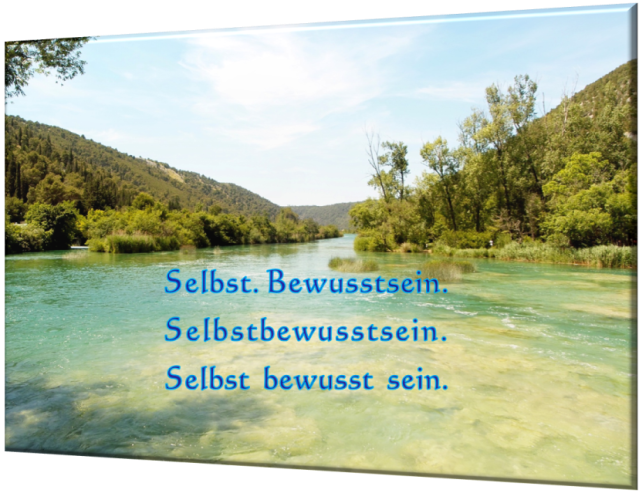 Selbst.Bewusstsein