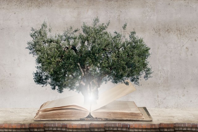 Reading and self education