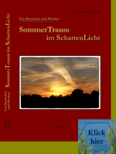 2015-01_titel_sommertraum_im_schattenlicht_5