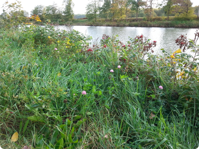 20171027_135228_web-100_B-700_round02