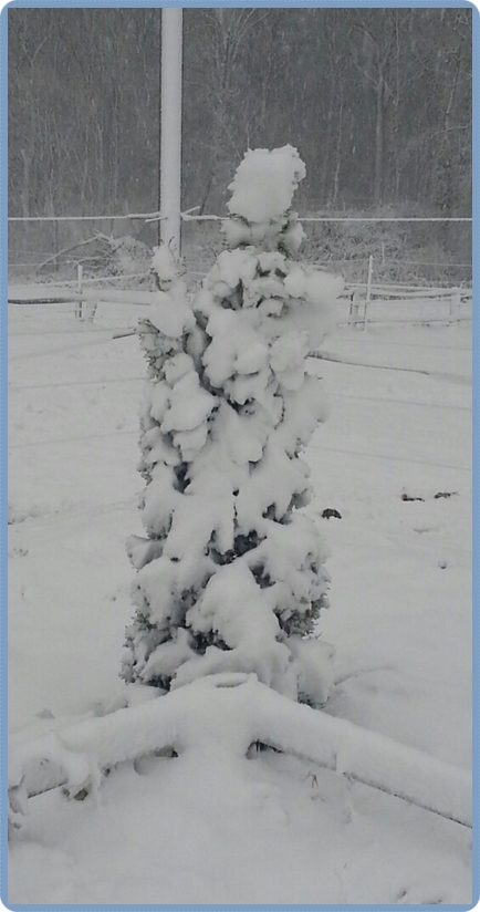 20160705_200202-1-2_web72_H-824_round02